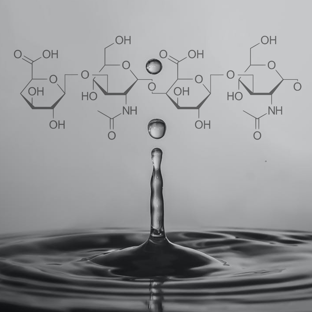 C4-Hyaluronic Acid-Droplet